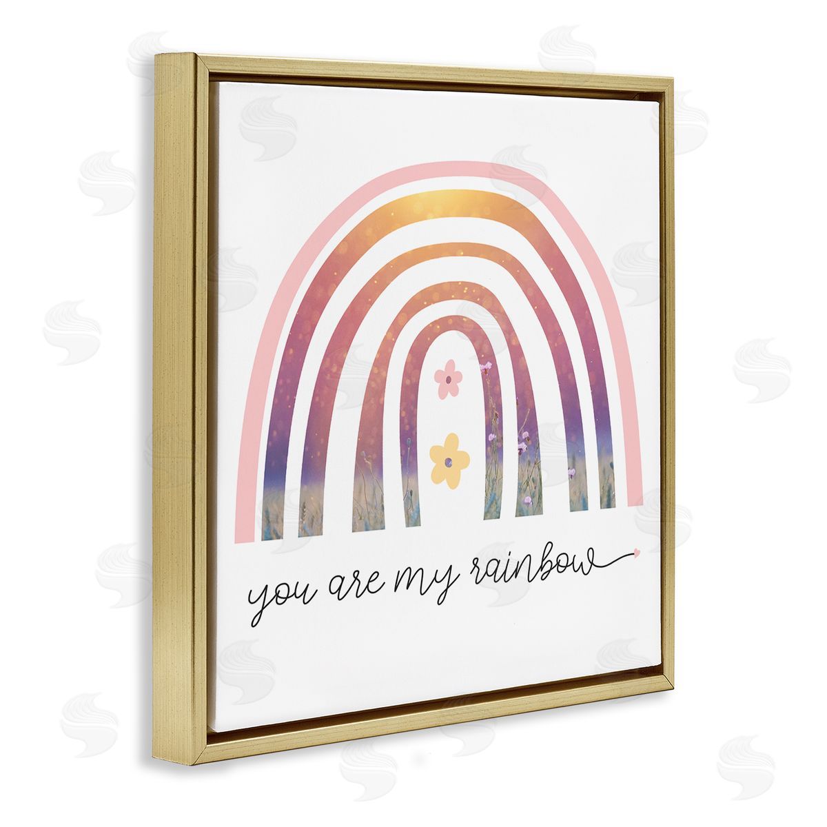 Stupell Studio You're My Rainbow Phrase Spring Pink Florals Gold Floater Frame Canvas Art