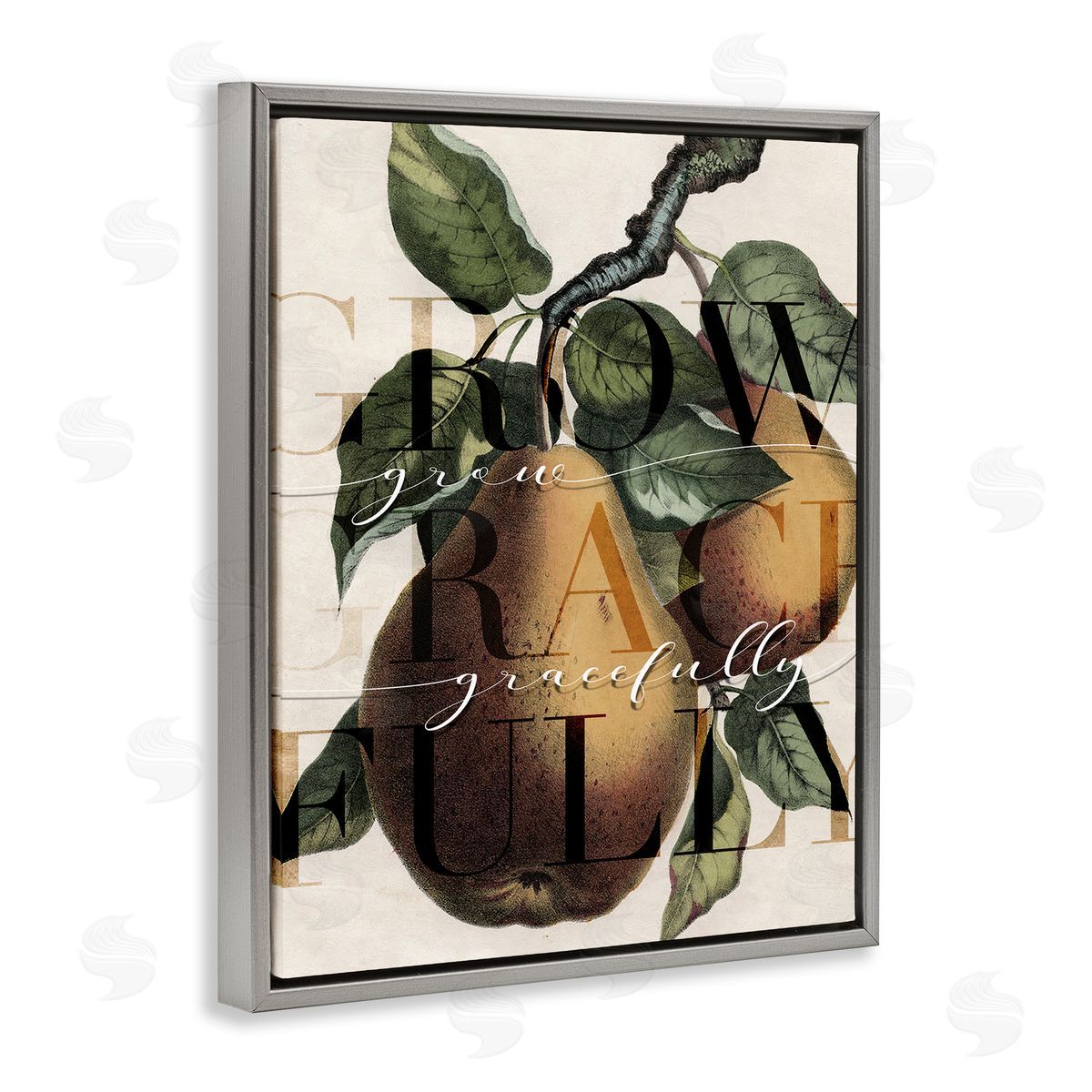 Stupell Studio Grow Gracefully Phrase Vintage Yellow Pear Tree Gray Floater Frame Canvas Art