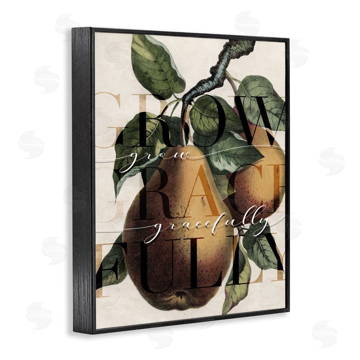 Stupell Studio Grow Gracefully Phrase Vintage Yellow Pear Tree Black Framed Giclee Wall Art