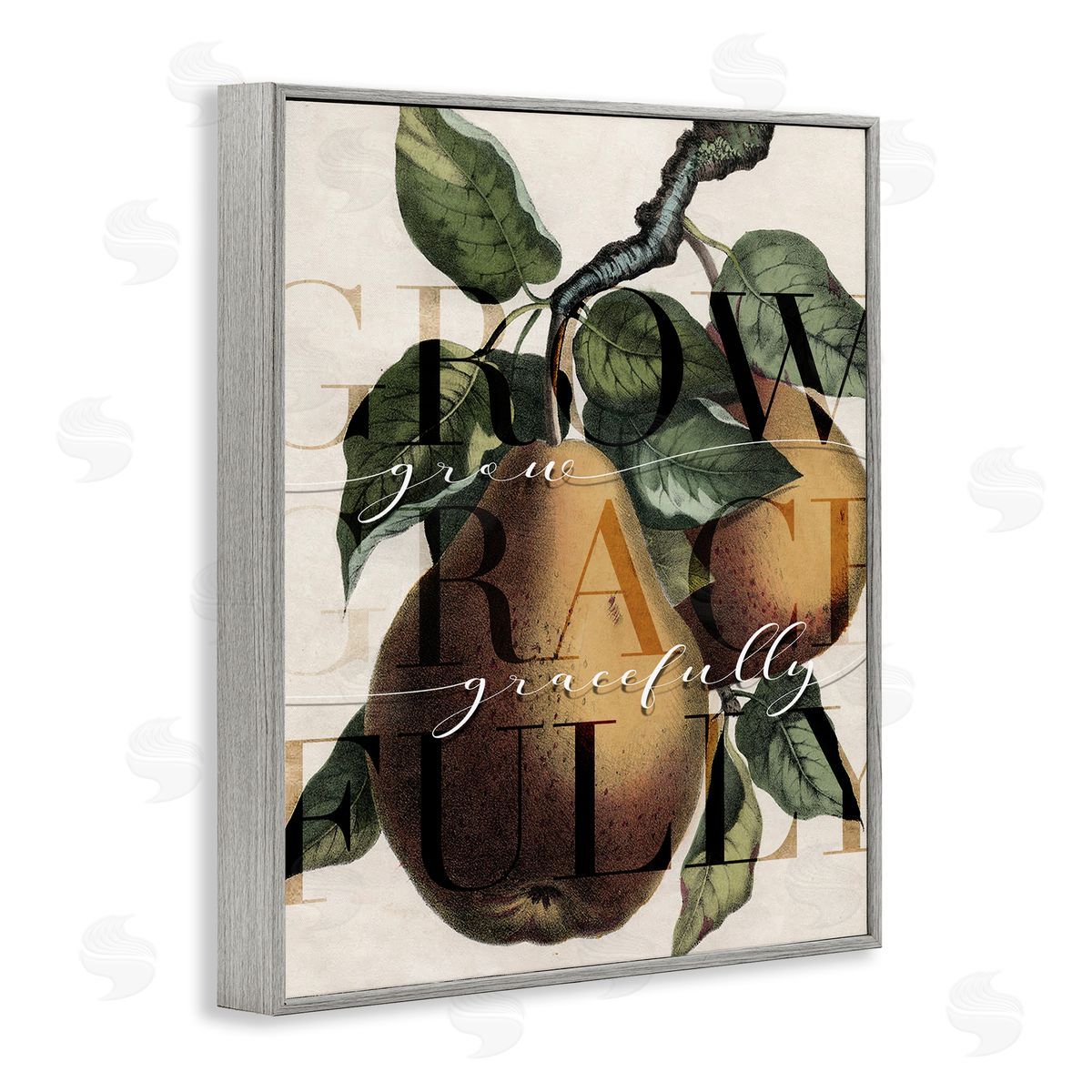 Stupell Studio Grow Gracefully Phrase Vintage Yellow Pear Tree Gray Framed Giclee Wall Art