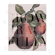Stupell Studio | Grow Gracefully Quote Red Distressed Pear Fruit