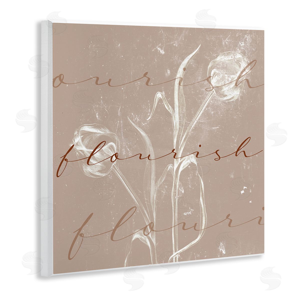 Stupell Studio Vintage Flourish Typography Softened Tulip Still Life Wall Plaque Art
