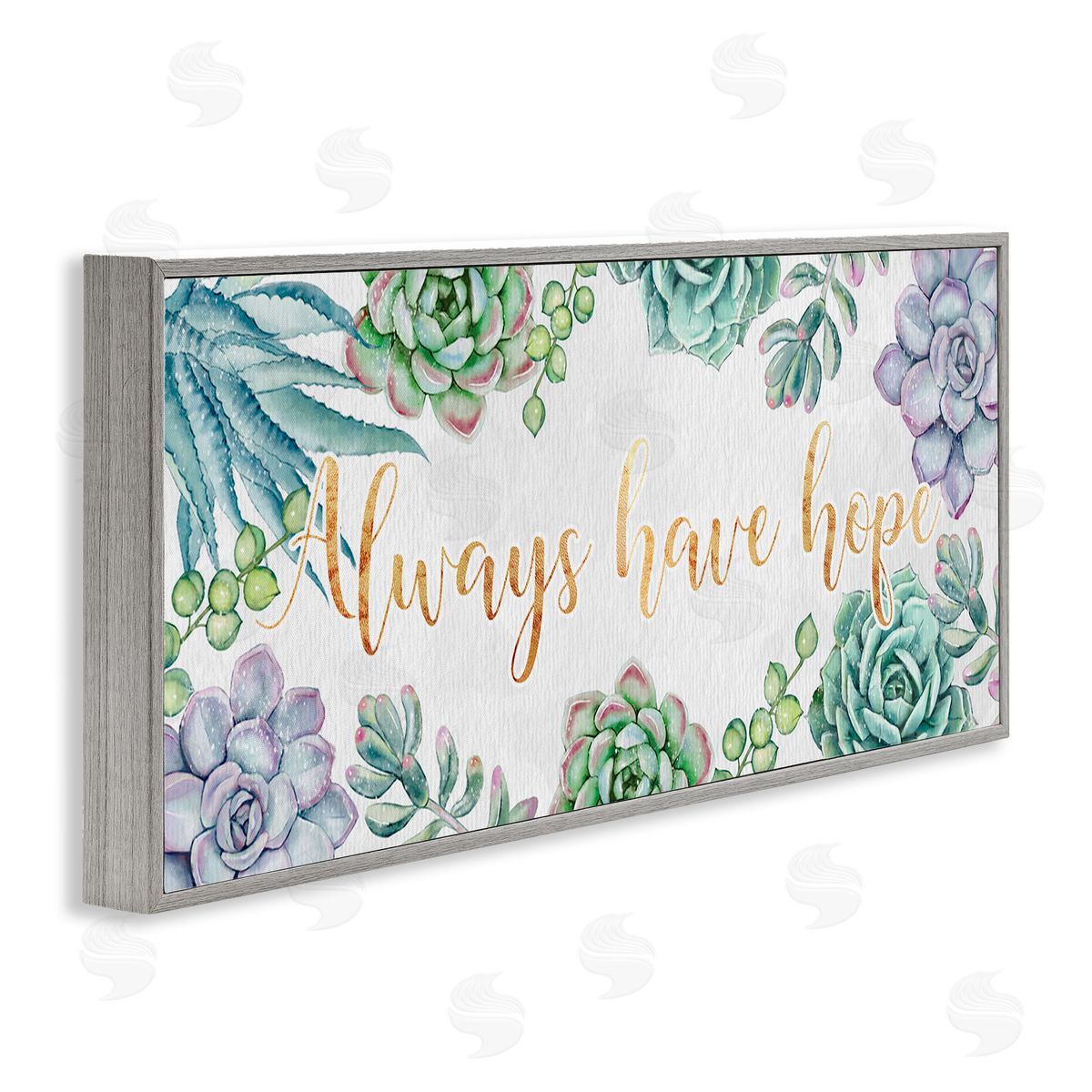 Ziwei Li Always Have Hope Phrase Chic Succulent Plants Gray Framed Giclee Wall Art