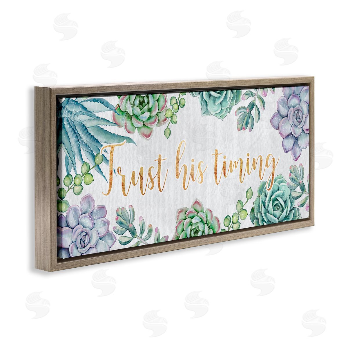 Ziwei Li Trust His Timing Sentiments Green Succulent Plants Brown Floater Frame Canvas Art