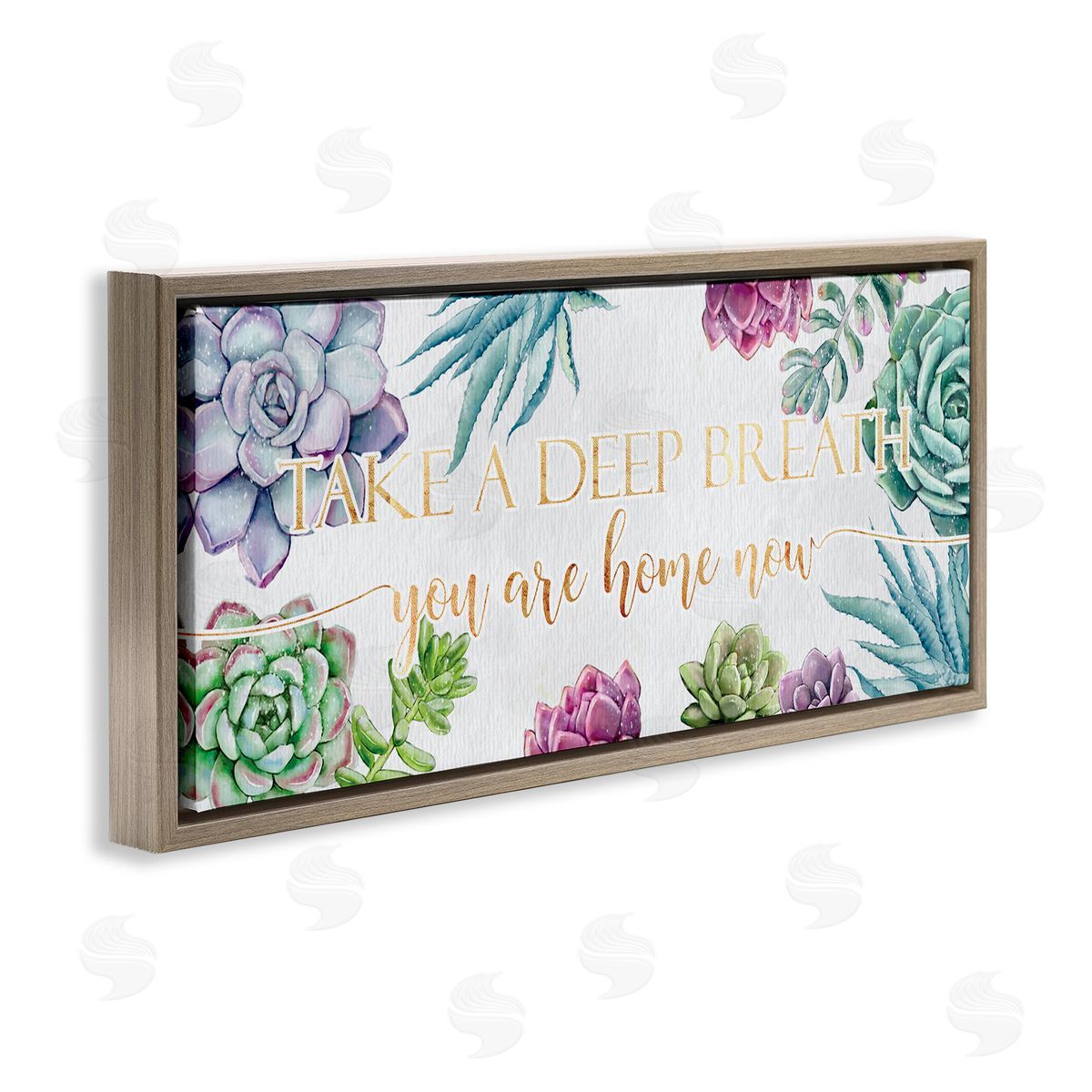 Ziwei Li Take A Deep Breath Phrase Succulent Plants Brown Floater Frame Canvas Art