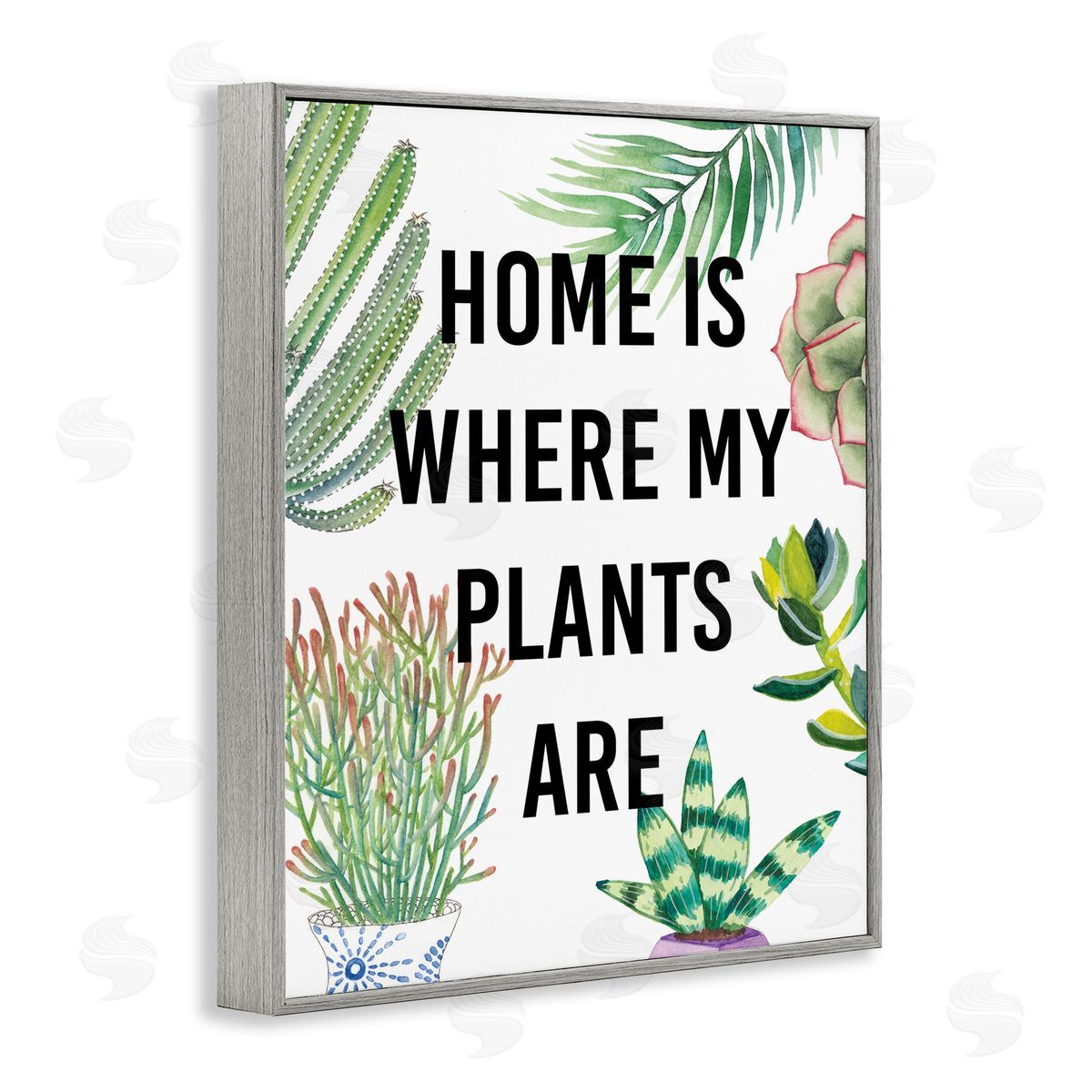 Studio W Home Is Where Plants Are Phrase Potted Foliage Gray Framed Giclee Wall Art