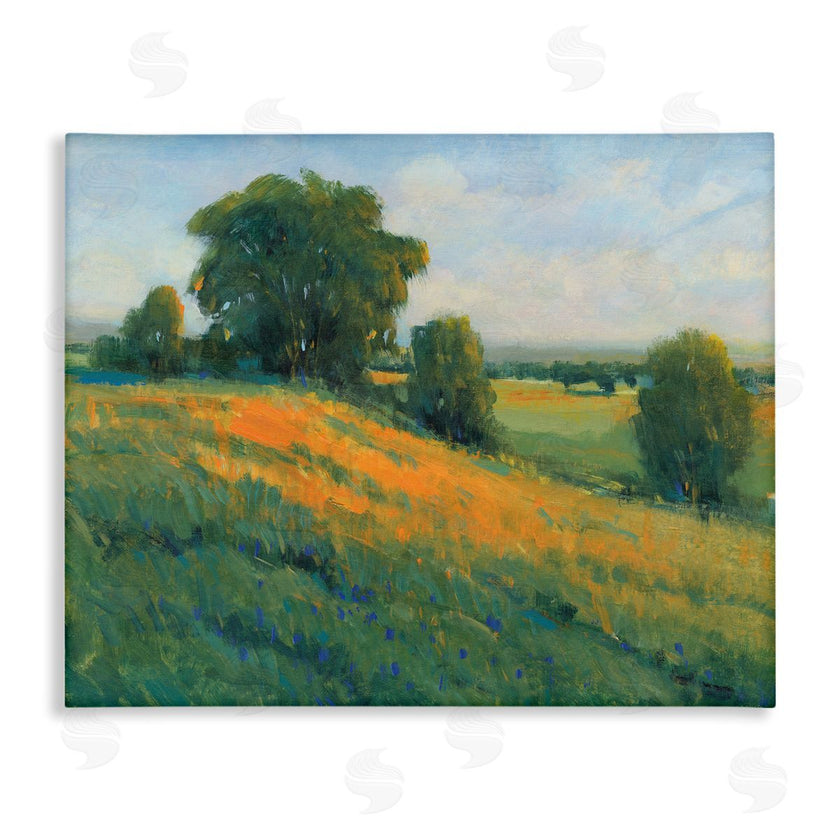 Tim O'Toole | Green Rolling Hills Blue Poppy Fields Landscapes