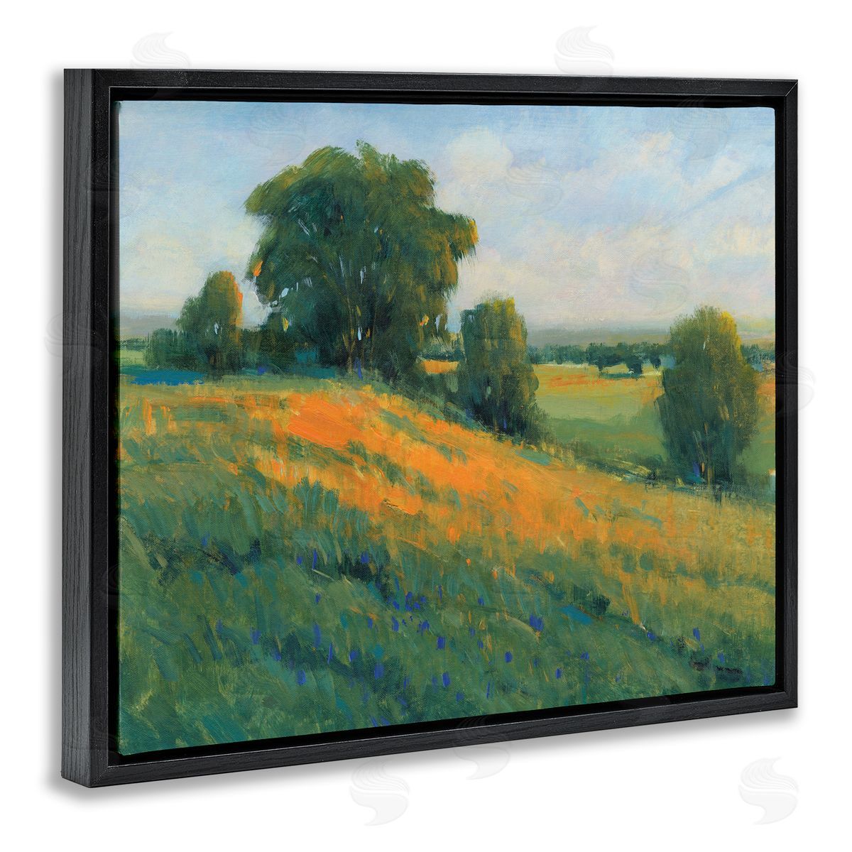 Tim O'Toole Green Rolling Hills Blue Poppy Fields Landscapes Black Floater Frame Canvas Art