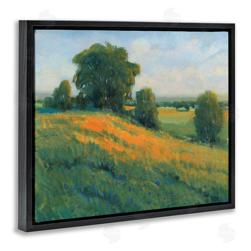 Tim O'Toole | Green Rolling Hills Blue Poppy Fields Landscapes