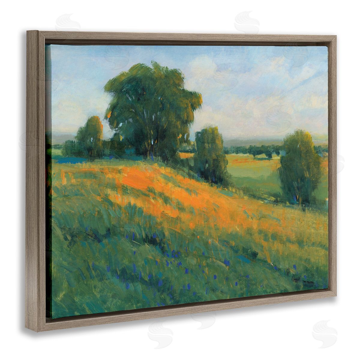 Tim O'Toole Green Rolling Hills Blue Poppy Fields Landscapes Brown Floater Frame Canvas Art
