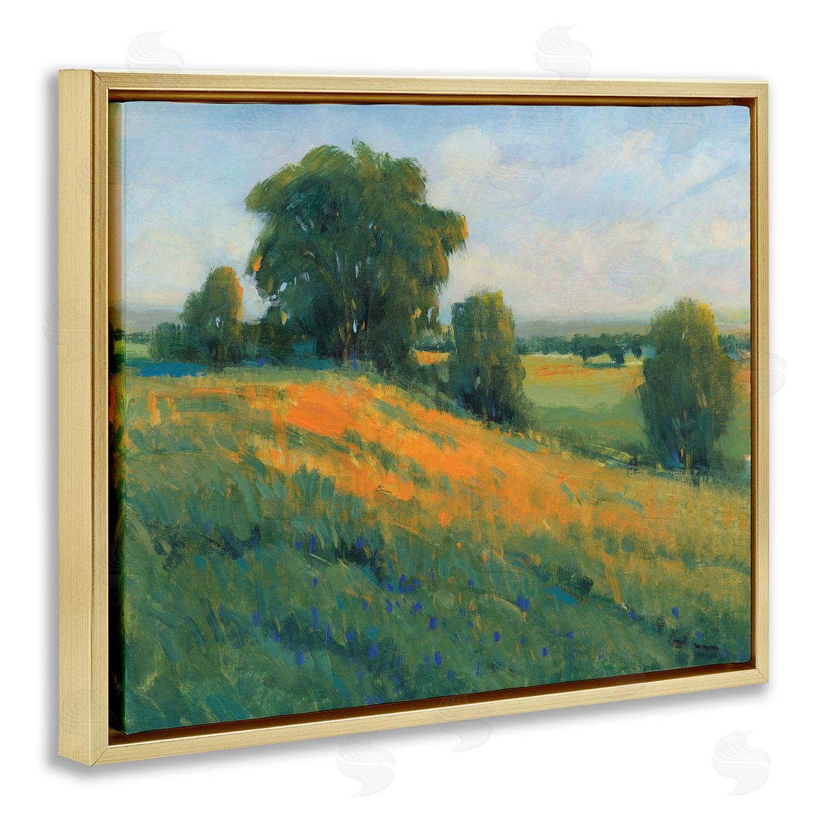 Tim O'Toole Green Rolling Hills Blue Poppy Fields Landscapes Gold Floater Frame Canvas Art