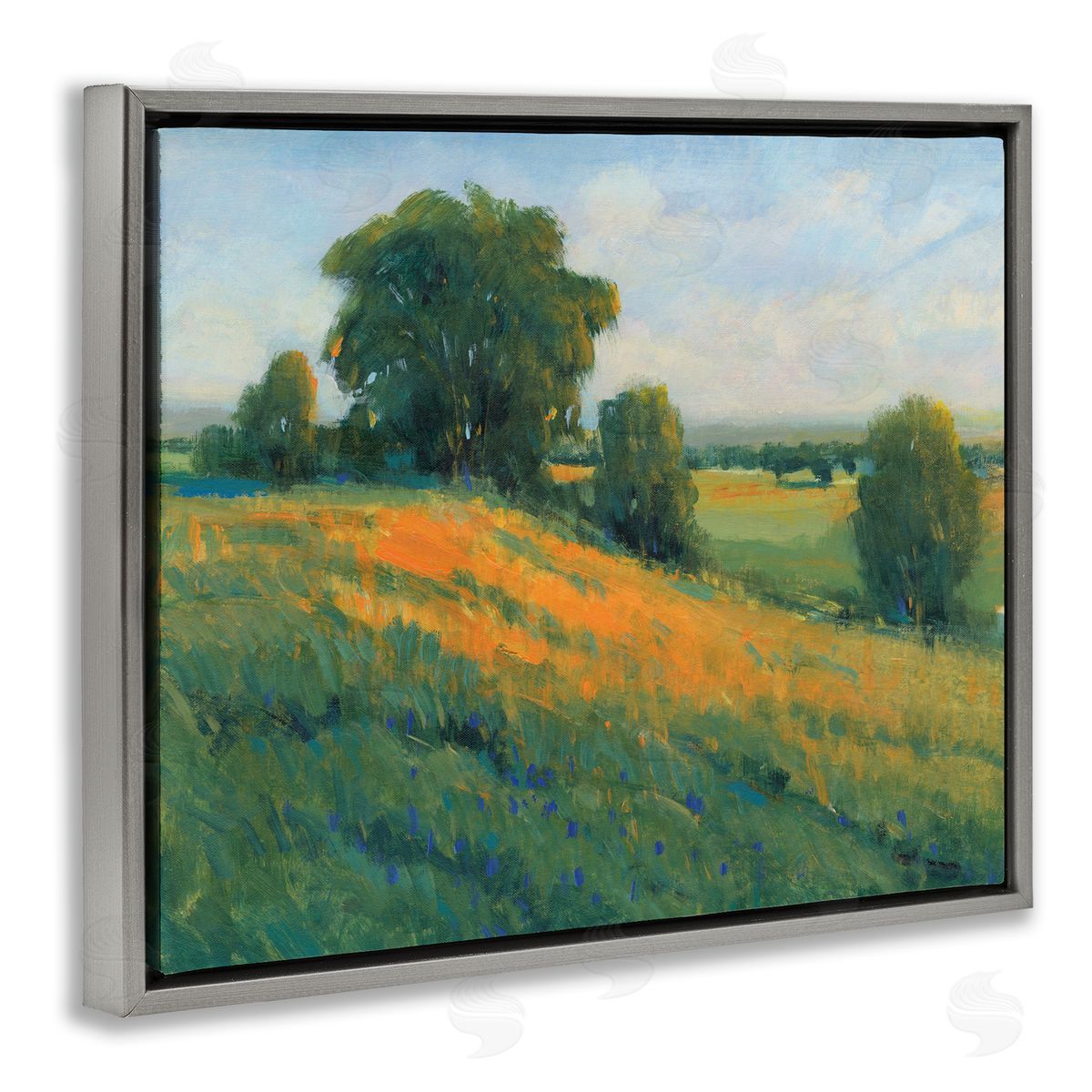 Tim O'Toole Green Rolling Hills Blue Poppy Fields Landscapes Gray Floater Frame Canvas Art