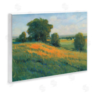 Tim O'Toole | Green Rolling Hills Blue Poppy Fields Landscapes