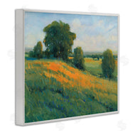 Tim O'Toole | Green Rolling Hills Blue Poppy Fields Landscapes