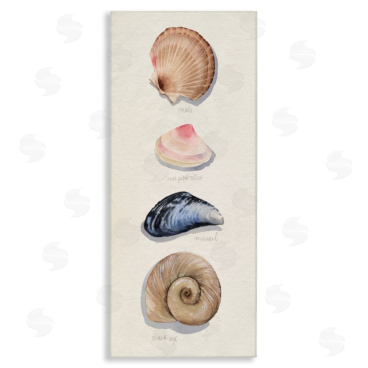 Traditional Nautical Sea Shells Canvas Wall Art, Home Decor by Grace Popp