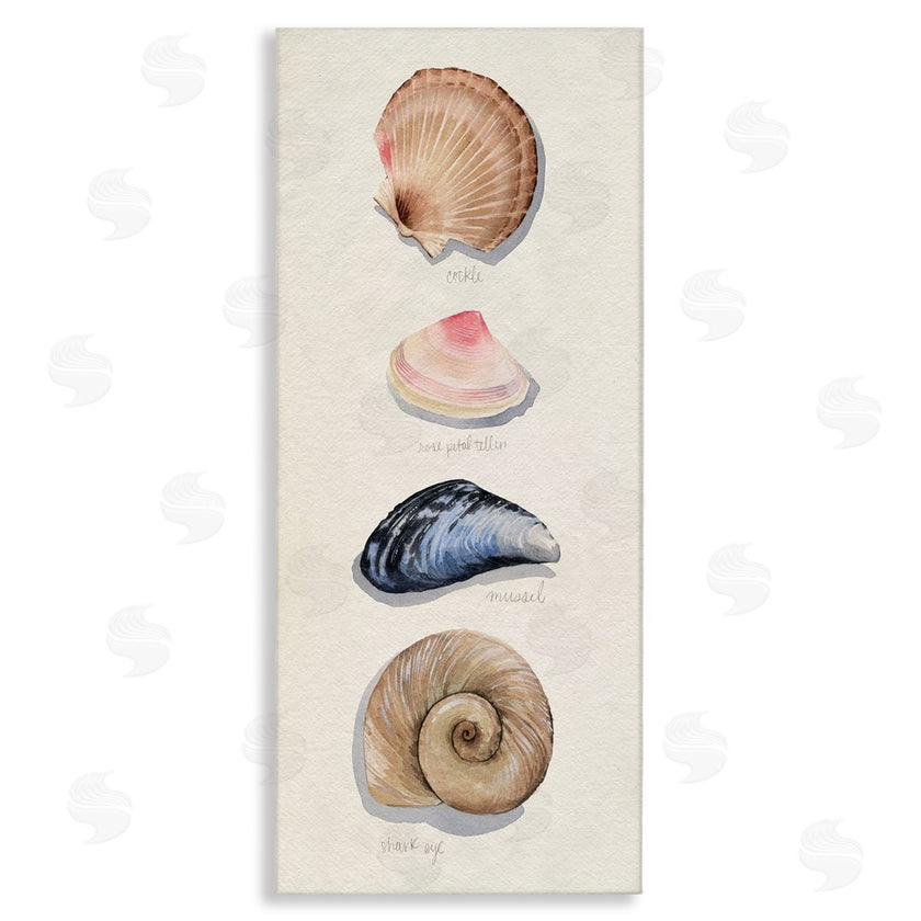 Grace Popp | Traditional Nautical Sea Shells