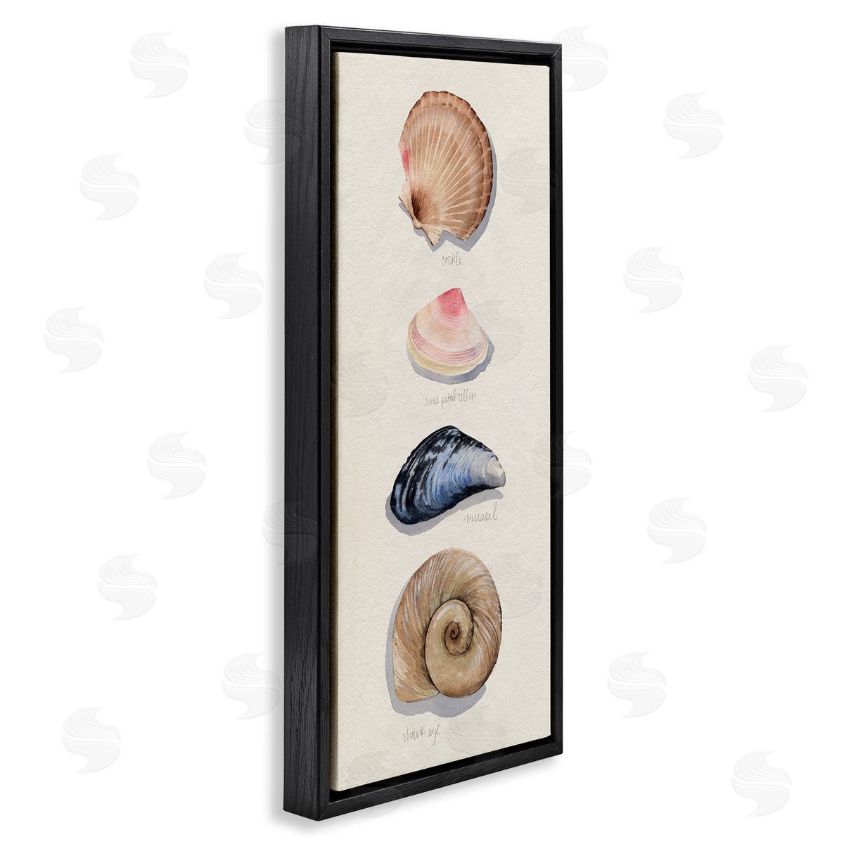 Traditional Nautical Sea Shells Black Floating Frame Canvas Wall Art, Home Decor by Grace Popp