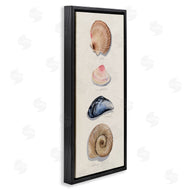 Grace Popp | Traditional Nautical Sea Shells