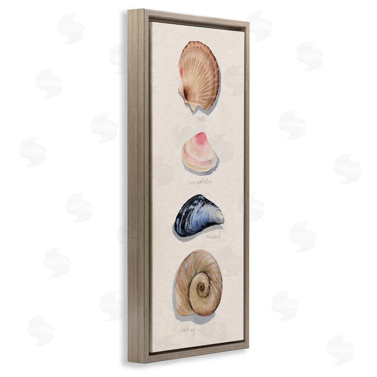 Traditional Nautical Sea Shells Brown Floating Frame Canvas Wall Art, Home Decor by Grace Popp