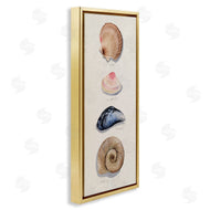 Grace Popp | Traditional Nautical Sea Shells
