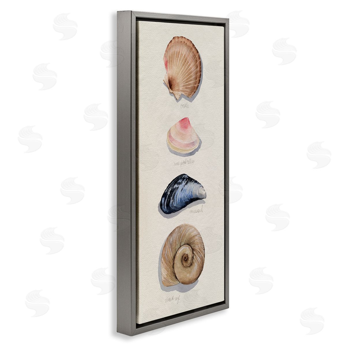 Traditional Nautical Sea Shells Grey Floating Frame Canvas Wall Art, Home Decor by Grace Popp