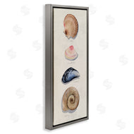 Grace Popp | Traditional Nautical Sea Shells