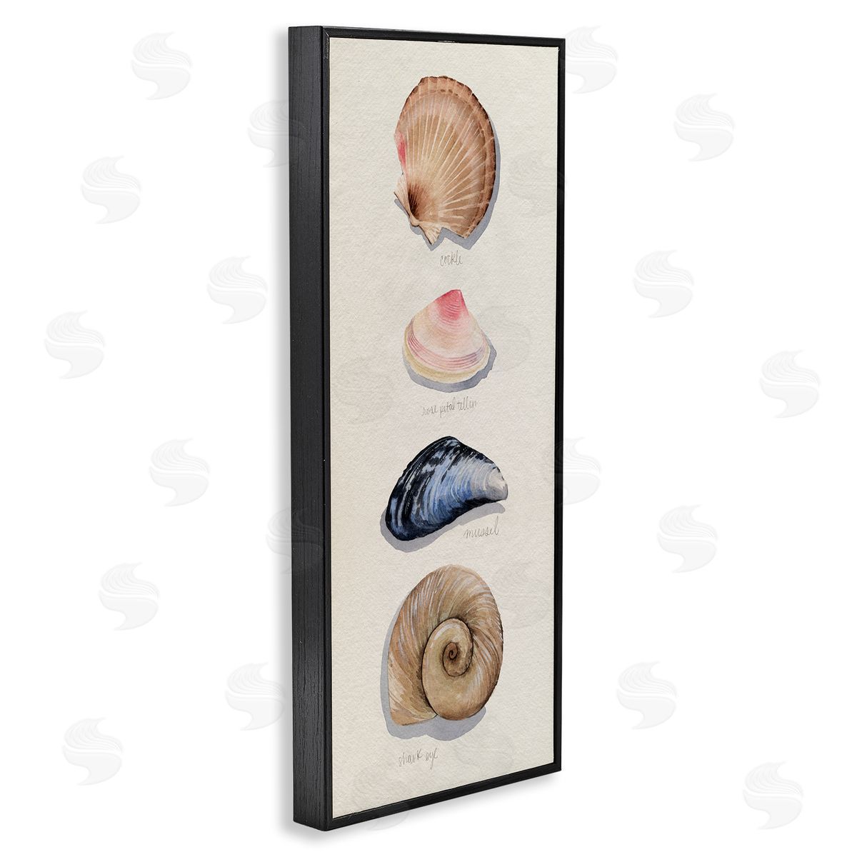 Traditional Nautical Sea Shells Black Frame Print Wall Art, Home Decor by Grace Popp