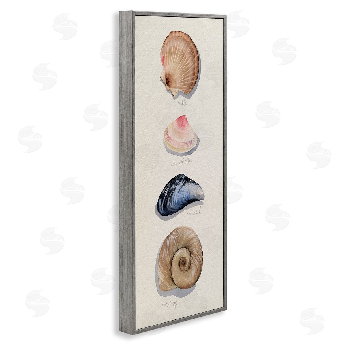Traditional Nautical Sea Shells Grey Frame Print Wall Art, Home Decor by Grace Popp