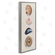 Grace Popp | Traditional Nautical Sea Shells
