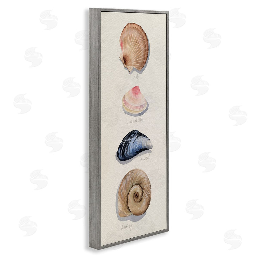 Grace Popp | Traditional Nautical Sea Shells