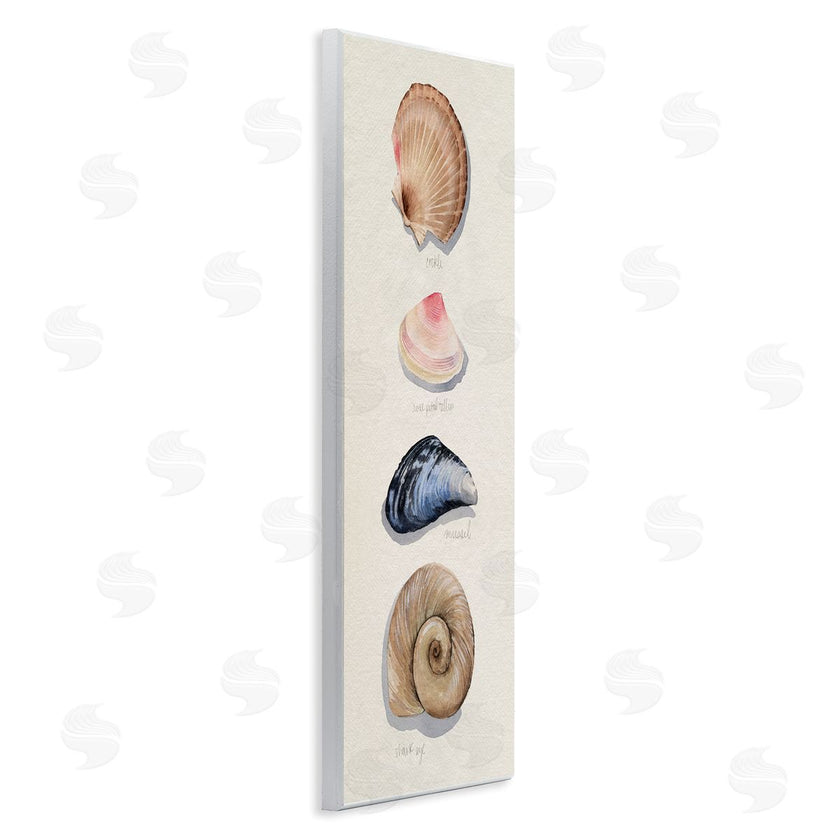 Grace Popp | Traditional Nautical Sea Shells