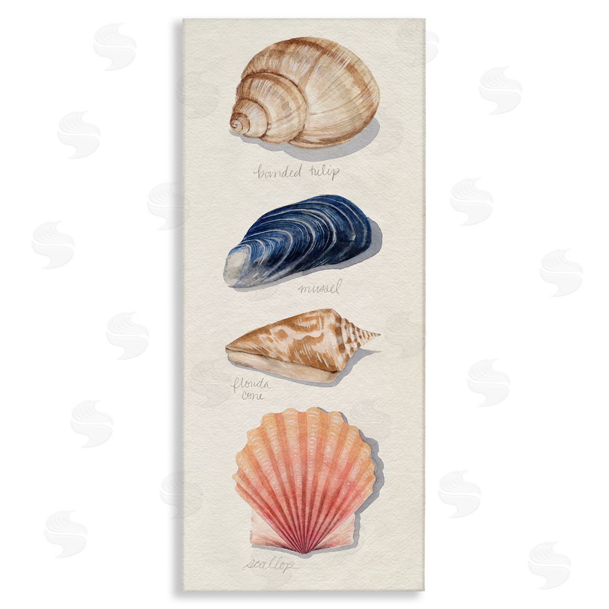 Grace Popp Ocean Life Sea Shells Soft Beige Sand Canvas Wall Art