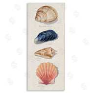Grace Popp | Ocean Life Sea Shells Soft Beige Sand