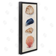 Grace Popp | Ocean Life Sea Shells Soft Beige Sand
