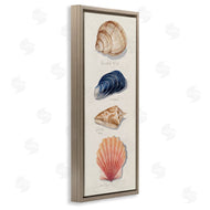 Grace Popp | Ocean Life Sea Shells Soft Beige Sand