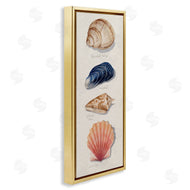 Grace Popp | Ocean Life Sea Shells Soft Beige Sand