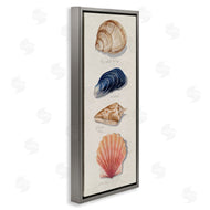 Grace Popp | Ocean Life Sea Shells Soft Beige Sand