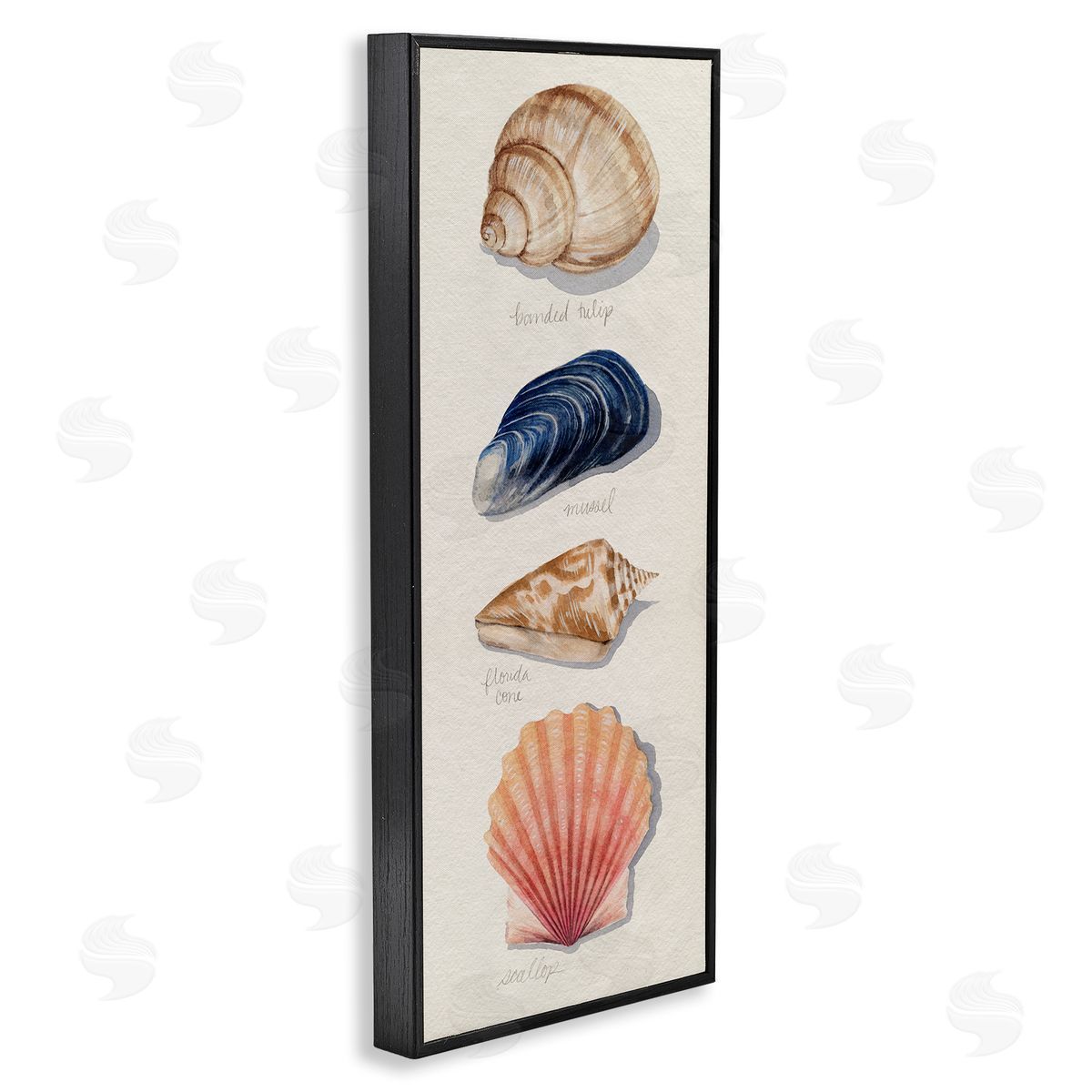 Grace Popp Ocean Life Sea Shells Soft Beige Sand Black Framed Giclee Wall Art