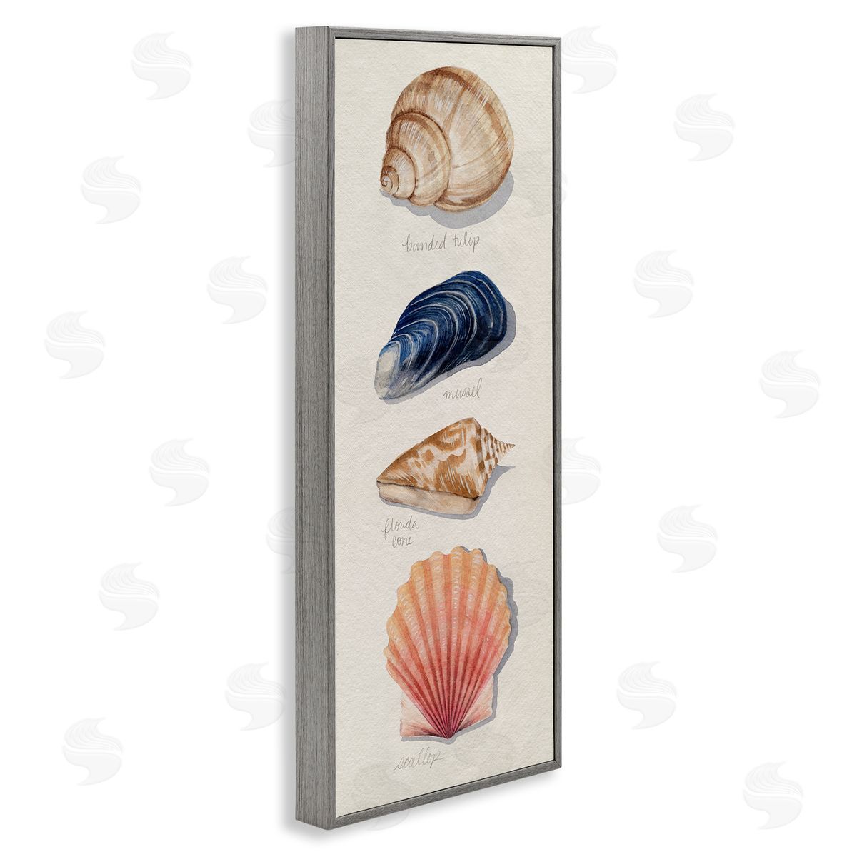 Grace Popp Ocean Life Sea Shells Soft Beige Sand Gray Framed Giclee Wall Art