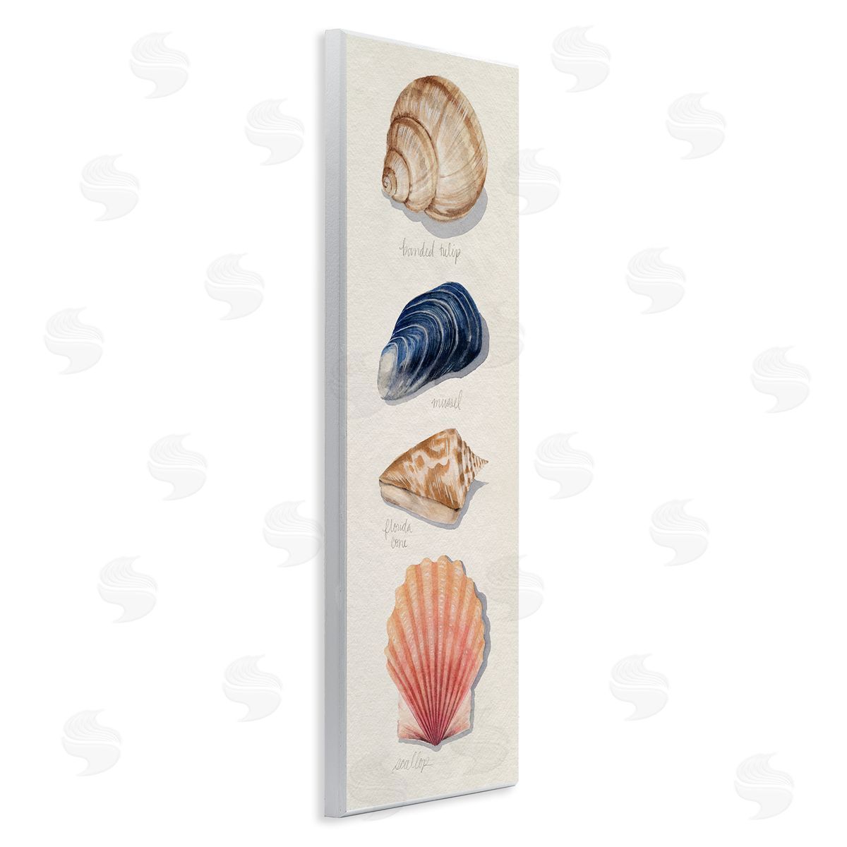 Grace Popp Ocean Life Sea Shells Soft Beige Sand Wall Plaque Art
