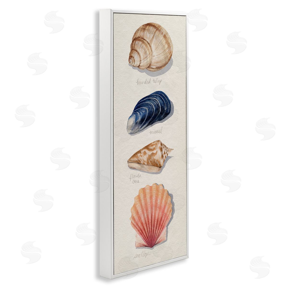 Grace Popp Ocean Life Sea Shells Soft Beige Sand White Framed Giclee Wall Art