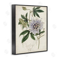 Curtis | Vintage Garden Flower Illustration Plant Anatomy Study