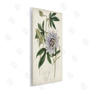 Curtis | Vintage Garden Flower Illustration Plant Anatomy Study