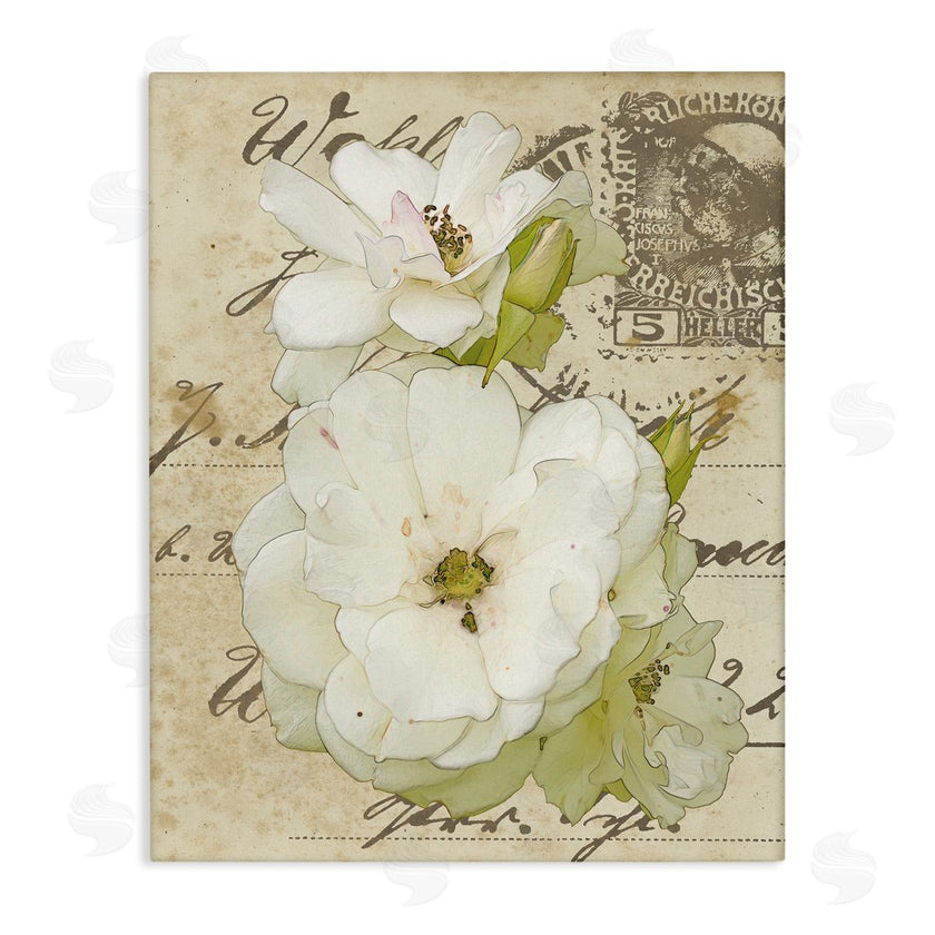 Alonzo Saunders | White Country Florals over Vintage Postal Card