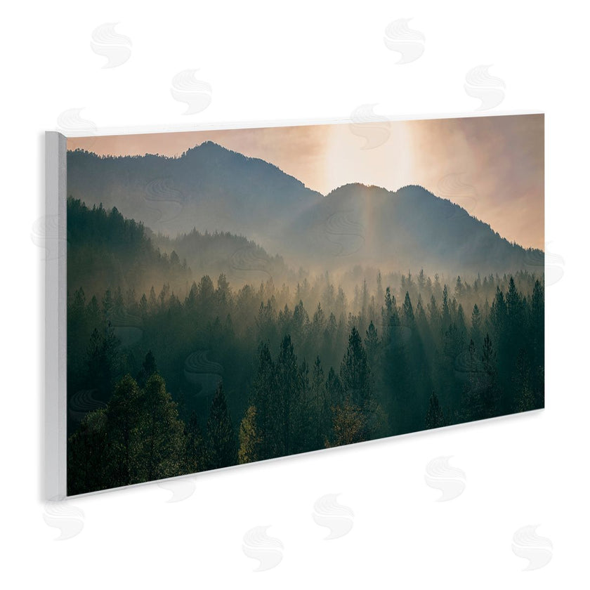 Dora Artemiadi | Morning Sun over Misty Trees