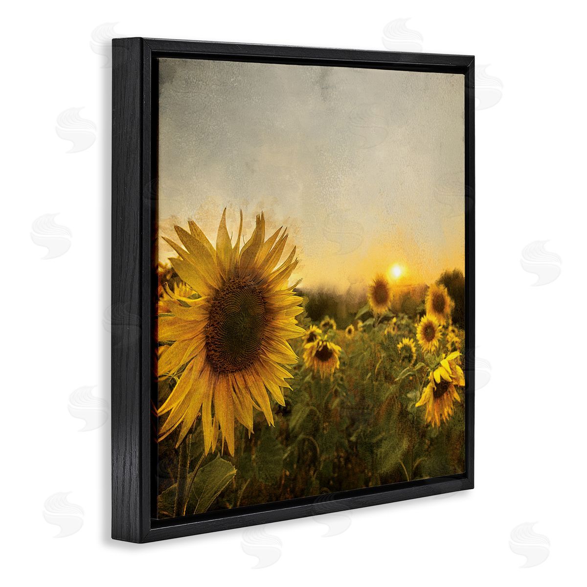 Anne Bailey Warm Sunflower Field Summer Sunset Landscape Black Floating Frame Canvas Wall Art Print