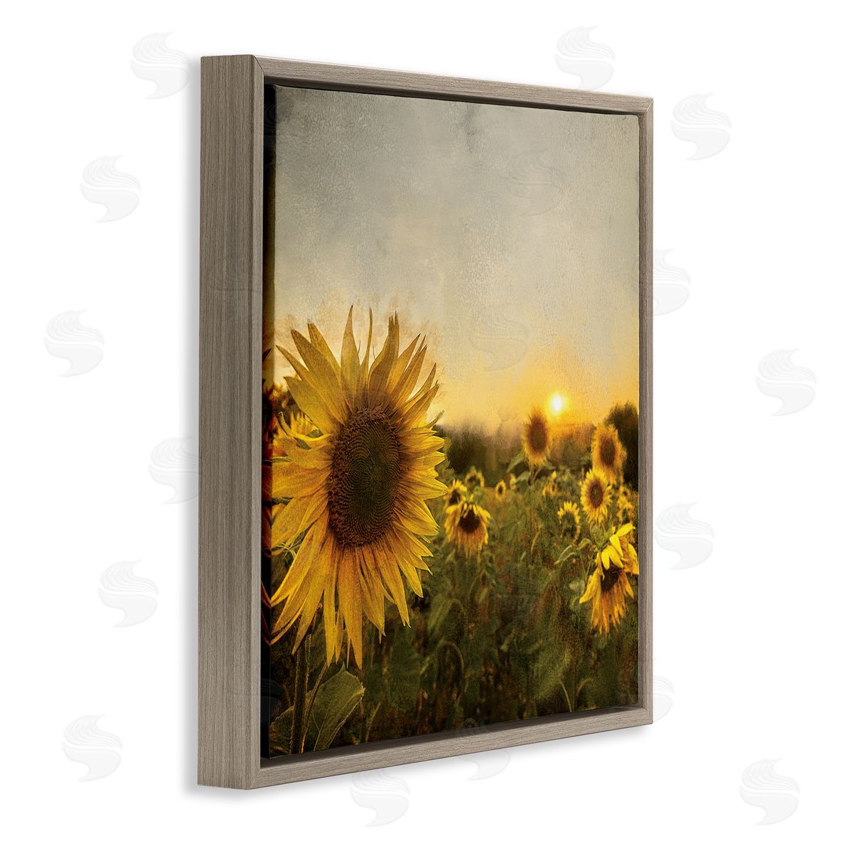 Anne Bailey Warm Sunflower Field Summer Sunset Landscape Brown Floating Frame Canvas Wall Art Print