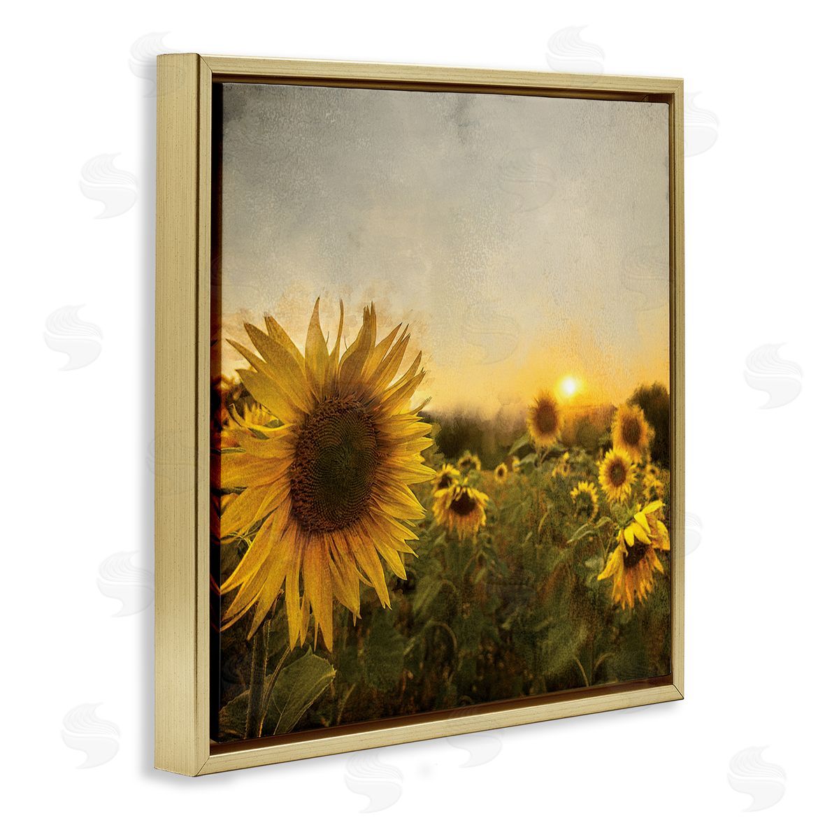 Anne Bailey Warm Sunflower Field Summer Sunset Landscape Gold Floating Frame Canvas Wall Art Print