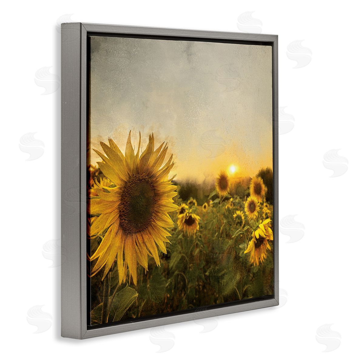 Anne Bailey Warm Sunflower Field Summer Sunset Landscape Gray Floating Frame Canvas Wall Art Print