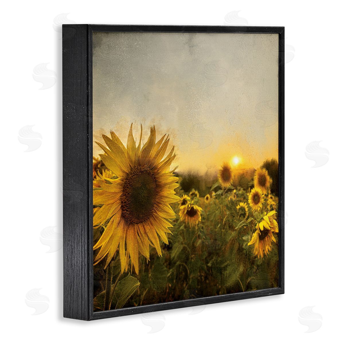 Anne Bailey Warm Sunflower Field Summer Sunset Landscape Black Framed Glicee Wall Art Print
